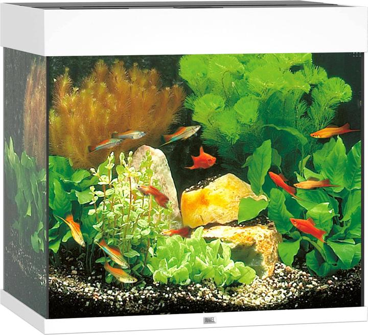 Immagine prodotto Juwel Aquarium Lido (120 l)