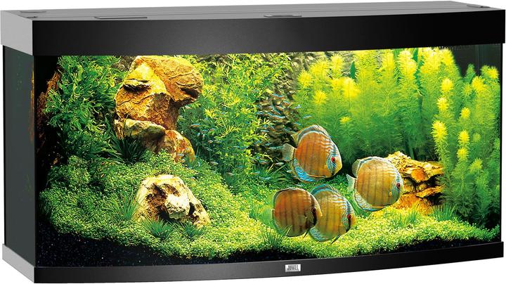Juwel Aquarium Aquarium Vision 260 121x46x62cm schwarz (260 l)