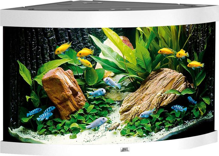 Image du produit Juwel Aquarium Aquarium Trigon 190 98.5x59.5x70cm blanc (190 l)