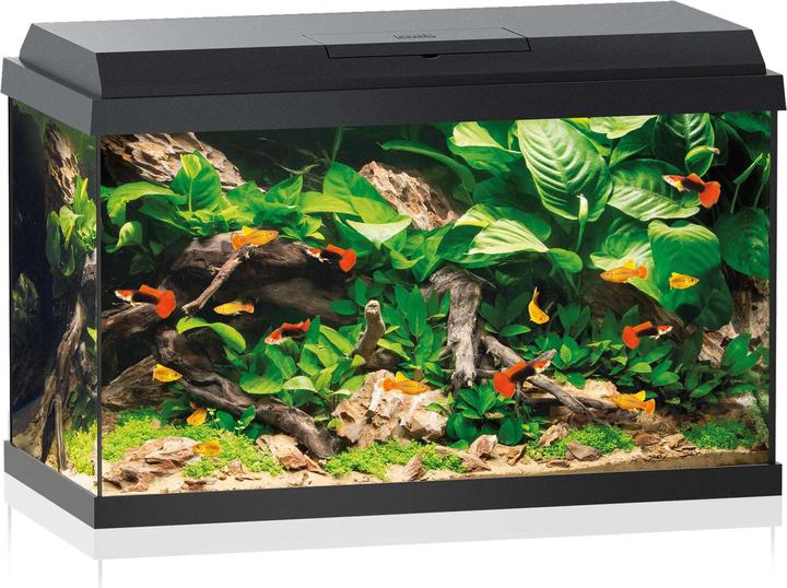 Juwel Aquarium Primo (70 l)