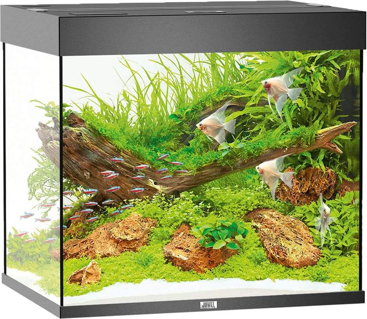 Image du produit Juwel Aquarium Aquarium Lido 200 70x51x65cm noir (200 l)