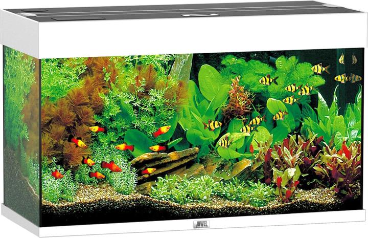 Juwel Aquarium Rio (125 l)