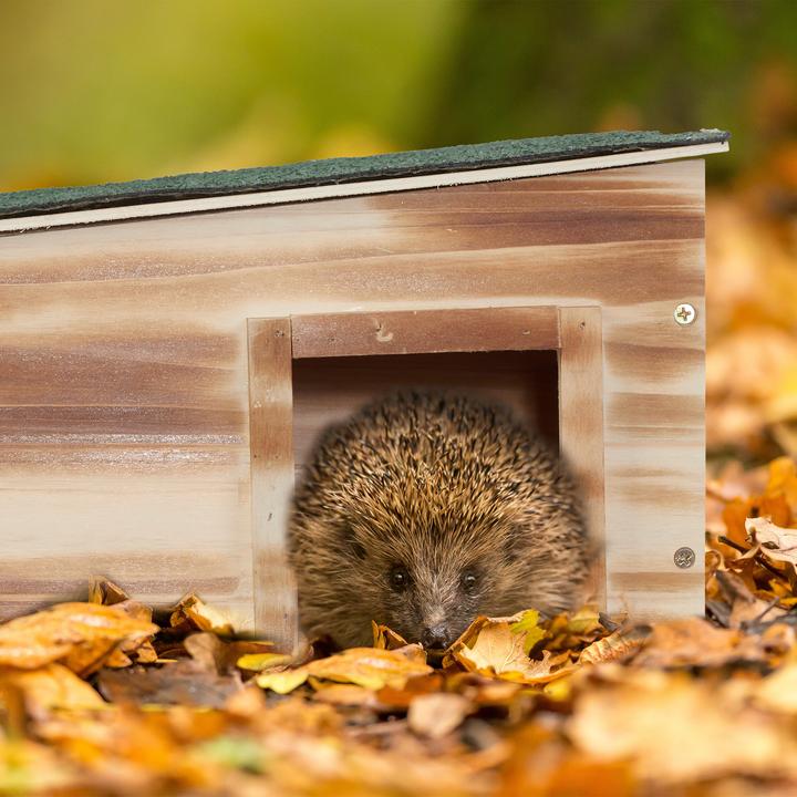 Actual product image Relaxdays Hedgehog House