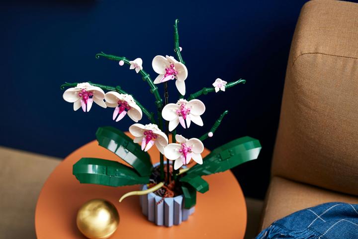 Produktbild LEGO Orchidee (10311, LEGO Botanical)