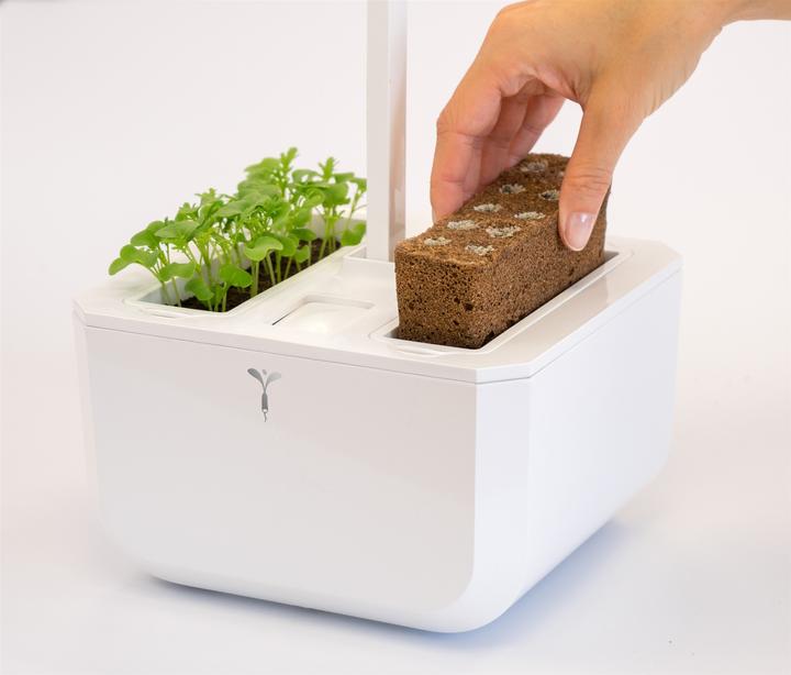 Image du produit Véritable Classic (18.50 cm)