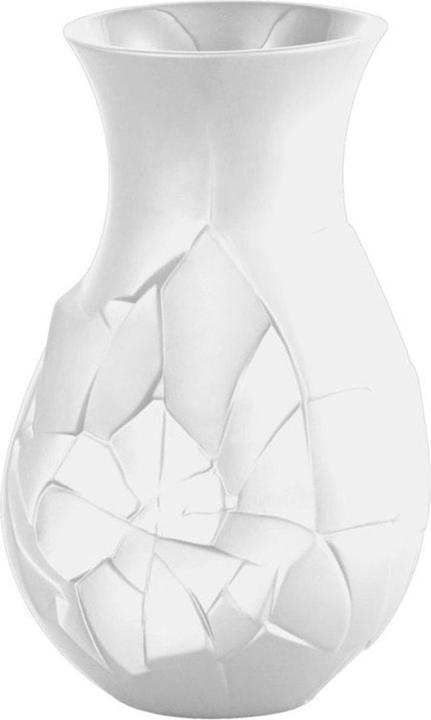 Actual product image Rosenthal Vase of Phases (1 x)