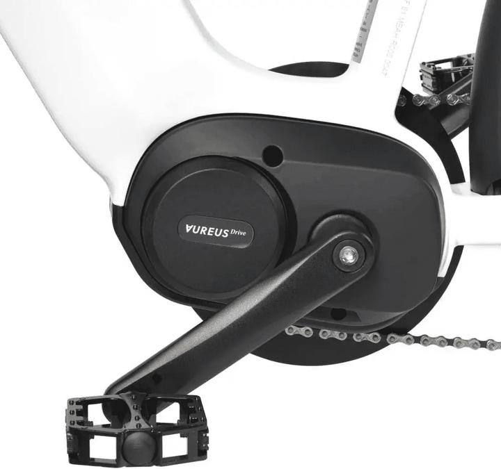 Immagine prodotto AureusDrive DailyDrive S, sabbia, tubo superiore alto, uomo, catena