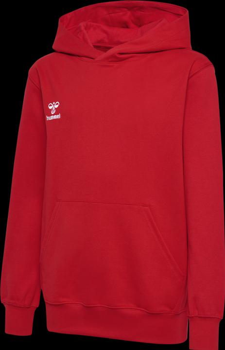 Actual product image hummel HMLGO 2.0 HOODIE KIDS (116)