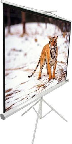 Actual product image Elite Screens Tripod (136", 1:1)