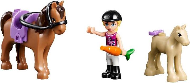 Actual product image LEGO Big Farm (41039, LEGO Friends)