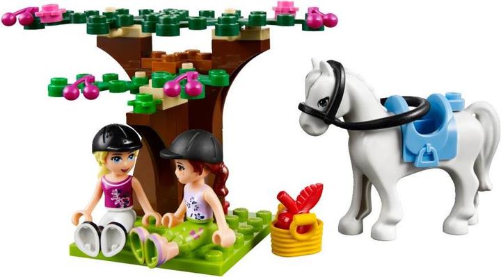 Actual product image LEGO Big Farm (41039, LEGO Friends)