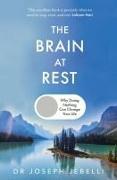 Immagine prodotto The Brain at Rest (Inglese, Giuseppe Jebelli, 2025)