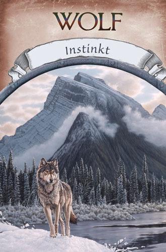 Image du produit Cartes d'oracle de la magie de la terre (Allemand, Steven Farmer, 2011)