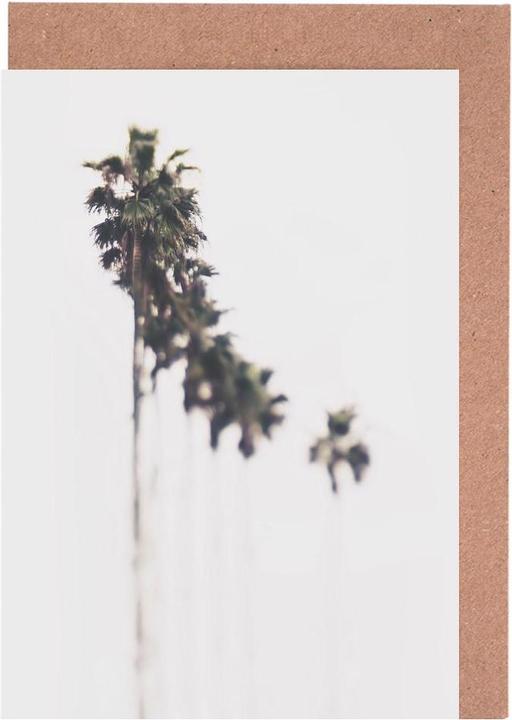 Produktbild Juniqe Palms - Palmen (15 Stk.)