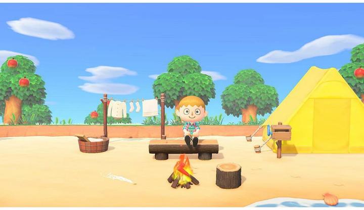 Actual product image Nintendo Animal Crossing: New Horizons (Switch, Multilingual)