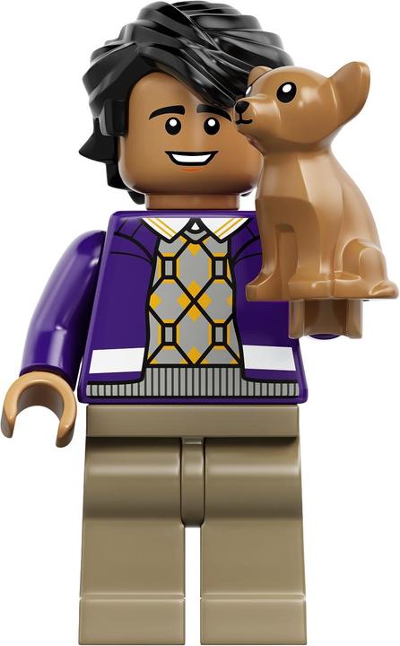 Immagine prodotto LEGO The Big Bang Theory (21302, LEGO Ideas, Set LEGO rari)
