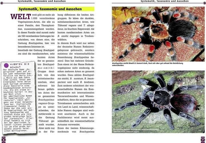 Image du produit Die Rotknie Vogelspinne (Allemand, Boris Striffler, 2022)