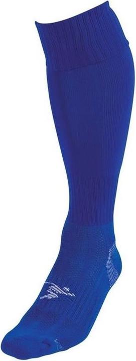 Bleu roi
