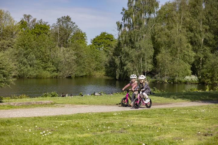 Image du produit Motobécane Roadie (12")
