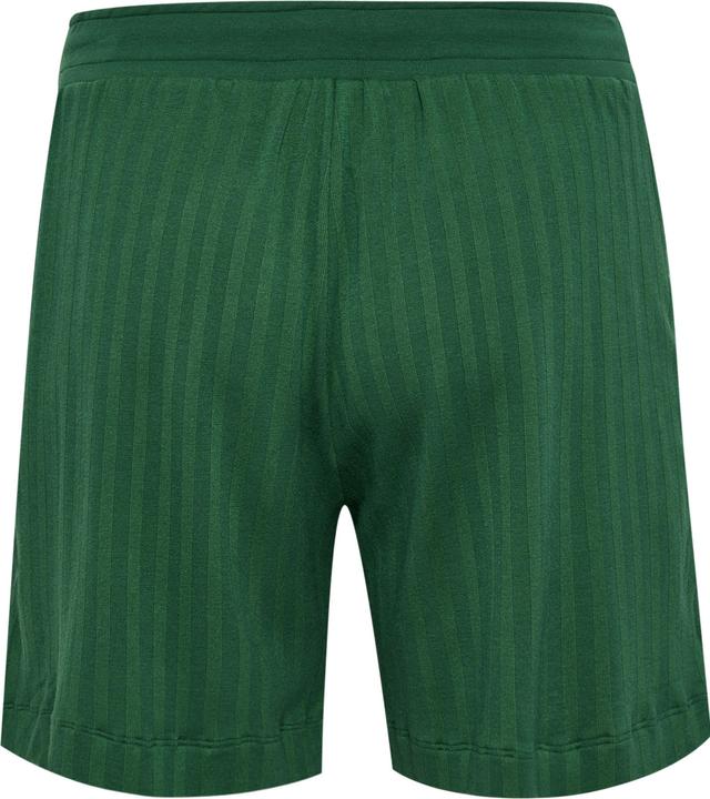 Image du produit hummel Short Hmlarchive Regular (S)