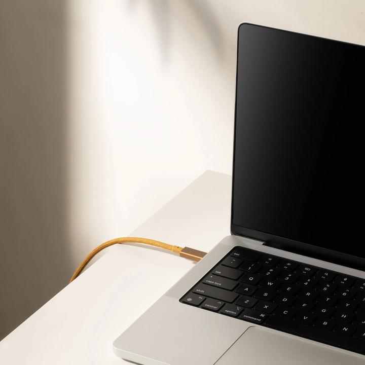 Actual product image Native Union USB C – USB C (2.40 m, USB 2.0, 240 W)