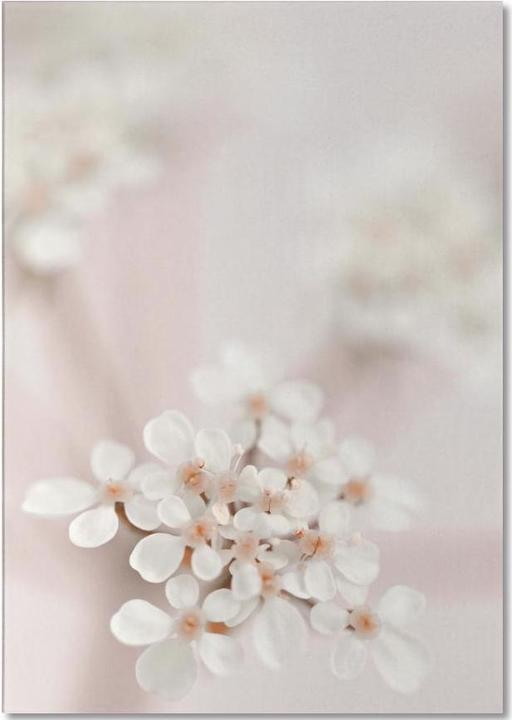 Image du produit Juniqe Pastel Flower Queen Ann Lace - Fleurs (A5, Pointillés)