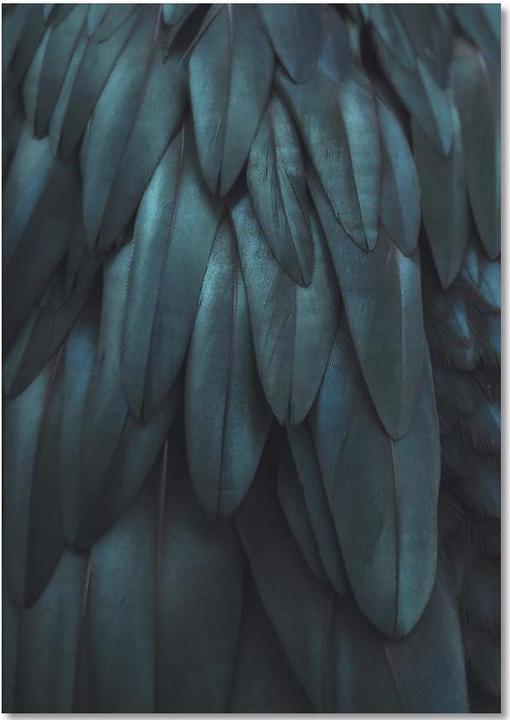 Actual product image Juniqe Dark Feathers - Feathers (A5, Plain)