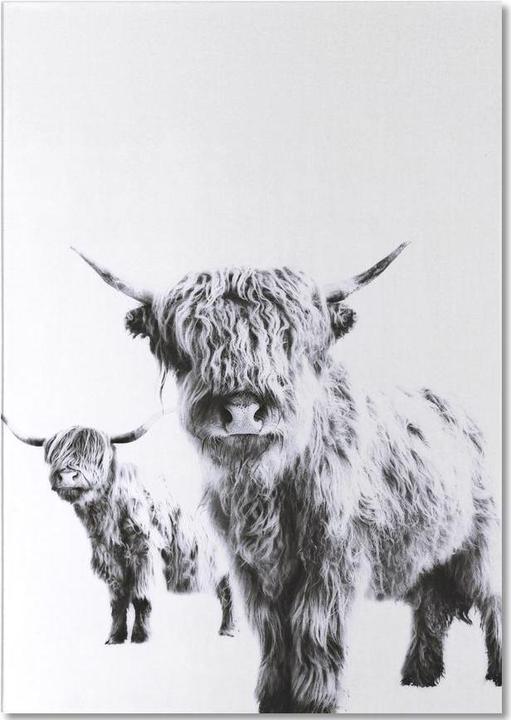 Produktbild Juniqe Highland Cows - Hochlandrinder (A5, Liniert)