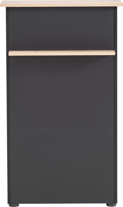 Produktbild Schildmeyer Empfangstresen (66 x 44 x 110.5 cm)