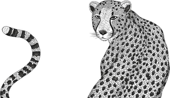 Immagine prodotto Kamyam:Africa selvaggia