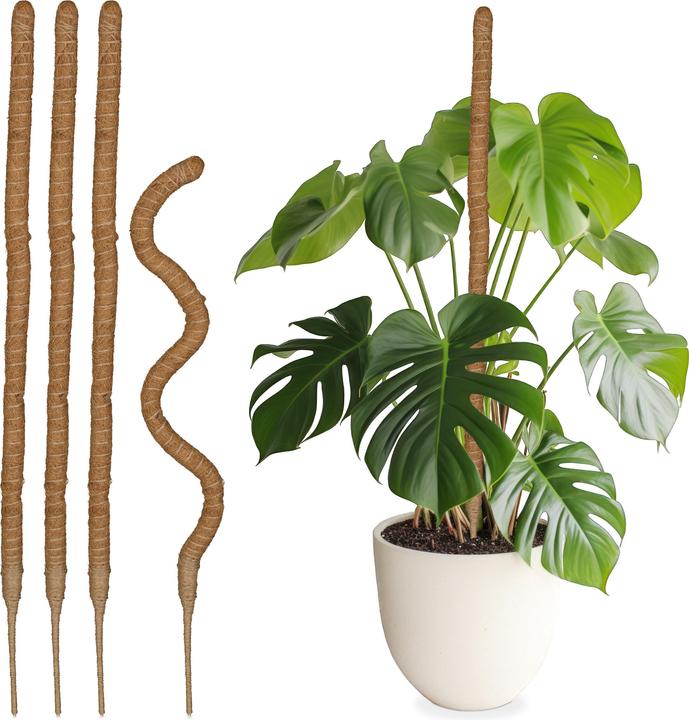 Image du produit Relaxdays Tiges de coco (3 cm, 3 cm)