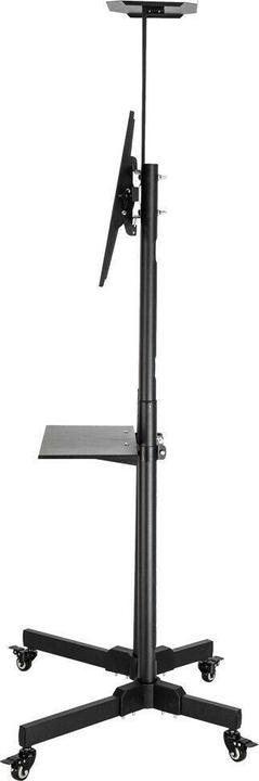 Image du produit Techly ICA-TR16T 37" - 70" Support au sol (Universel, 65", 60 kg)