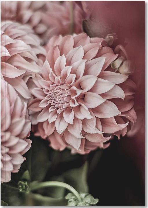 Actual product image Juniqe Flower Market - Nature (A5, Plain)