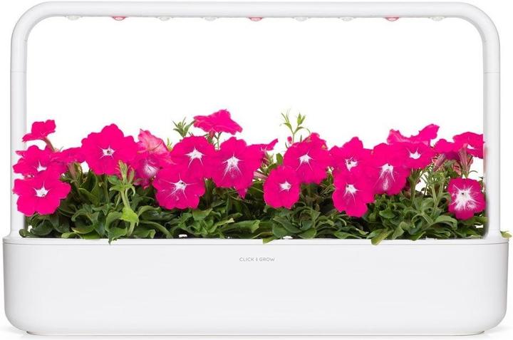 Immagine prodotto Click and Grow Semi di petunia rosa 3-Pack (Semi di piante)