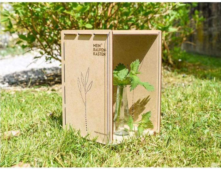 Actual product image Mein Raupenkasten Insect hotel caterpillar box (Butterflies)