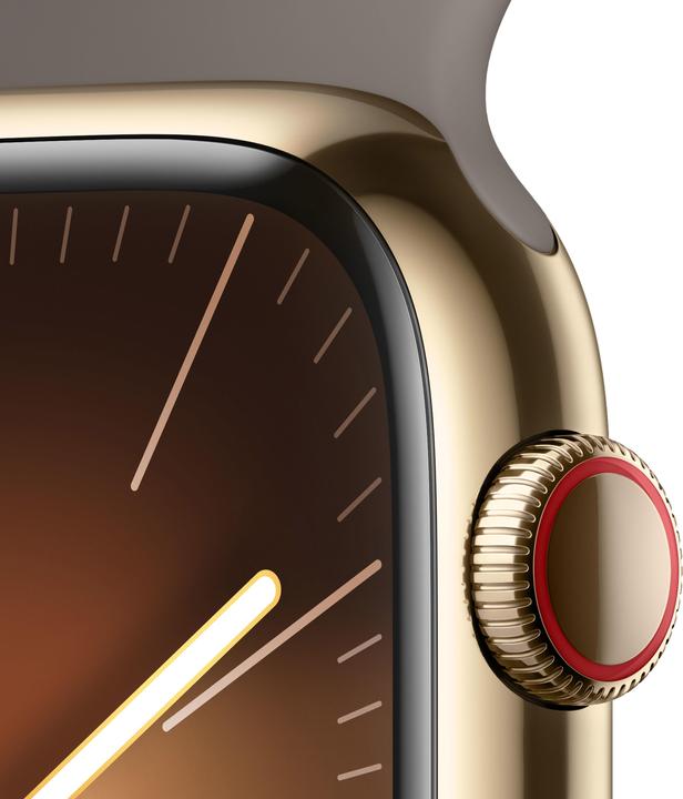 Immagine prodotto Apple Watch Series 9 (45 mm, 4G)
