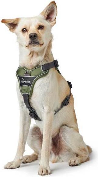 Produktbild Hunter Geschirr Divo (L, XL, Hund, Allgemein)