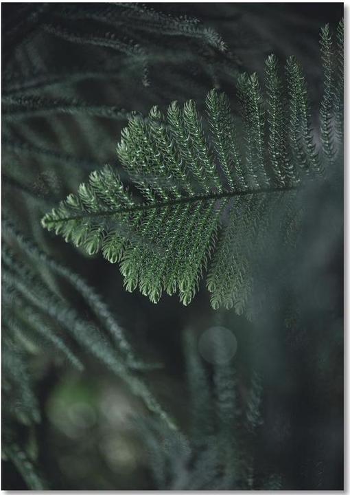 Produktbild Juniqe Winter Branches 11 - Abstrakt & Geometrisch (A5, Liniert, Harter Einband)