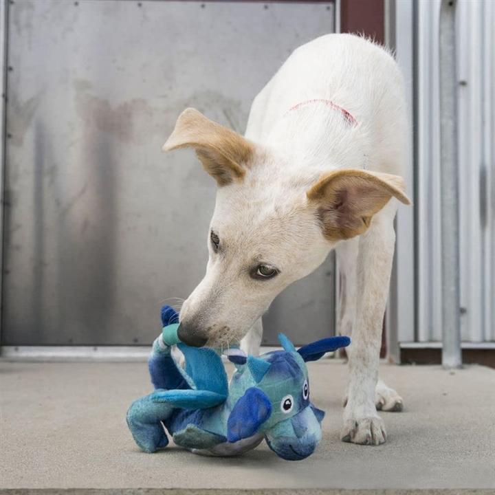 Produktbild KONG Dog Dragon Knots (Plüschspielzeug Hund)