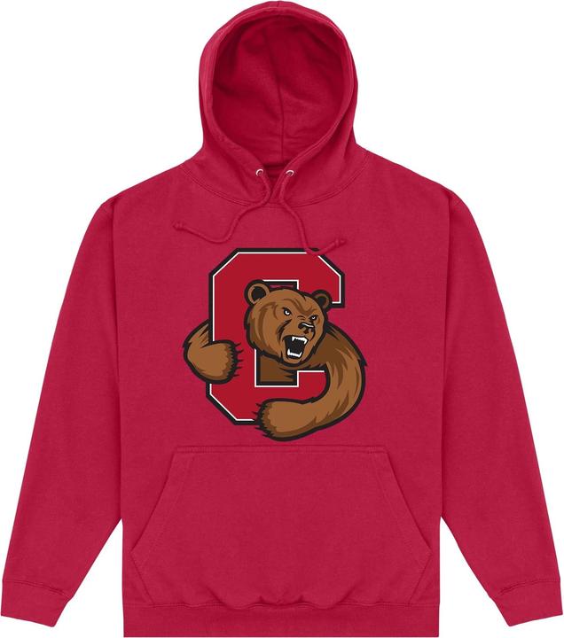 Actual product image Unisex Adult Bear Hoodie (M)
