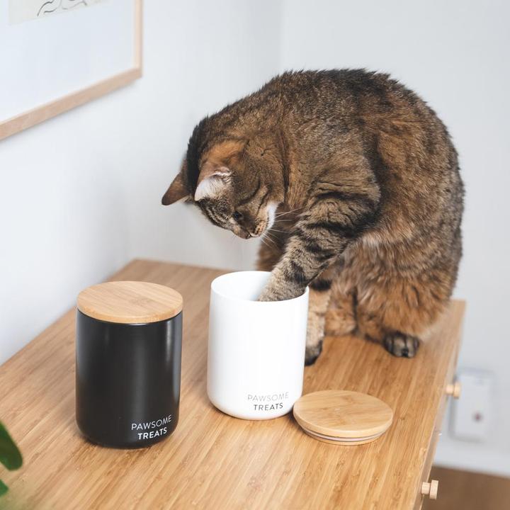 Produktbild LucyBalu SNACK BAR Katzenfutter- & Leckerlidose