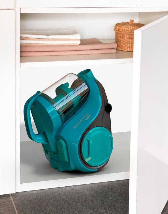Actual product image Rowenta RO2932