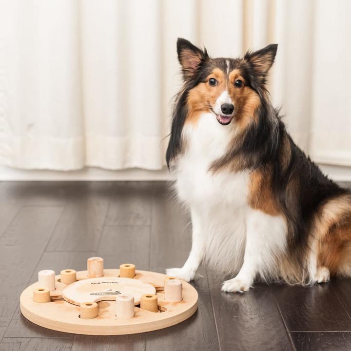 Actual product image Nina Ottosson Nina Ottoson Dog Worker Composite (Tug toy dog)