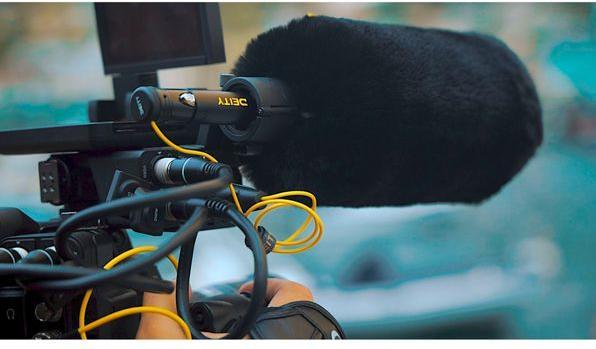 Immagine prodotto Deity S-Mic 3