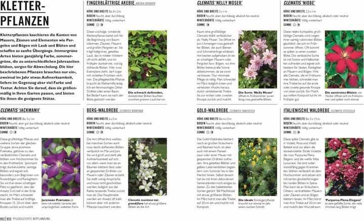 Produktbild Grünes Gartenwissen. Gärtnern mit wenig Aufwand (Deutsch, Zia Allaway, DK Verlag, Reinhard Ferstl, 2024)