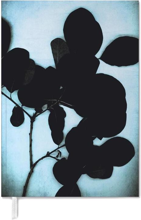 Image du produit Juniqe Black On Cyan - Feuilles & Plantes (A5, Anglais)