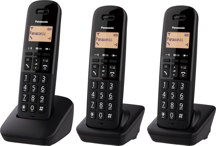 Panasonic KX-TGB613JTB