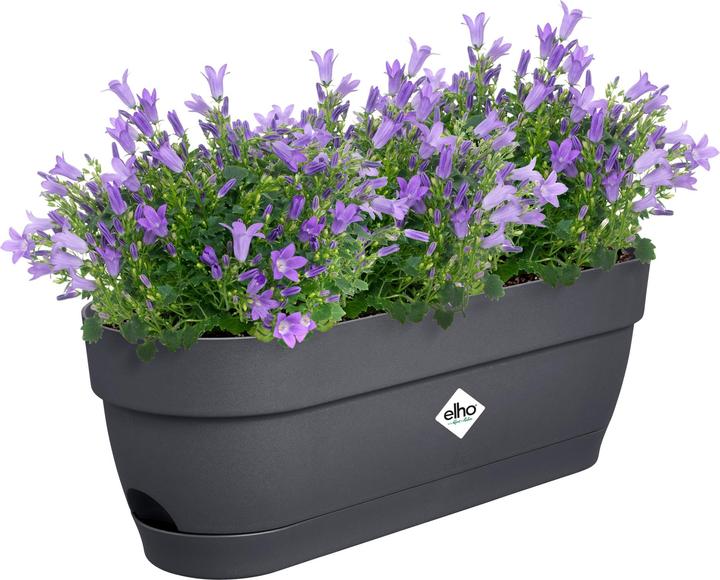 Produktbild Elho Balkonkasten Vibia Campana 49x18.2x17 cm (18.20 cm)