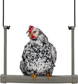 Actual product image Beeztees Feeding Station Chicken Swing, Grey