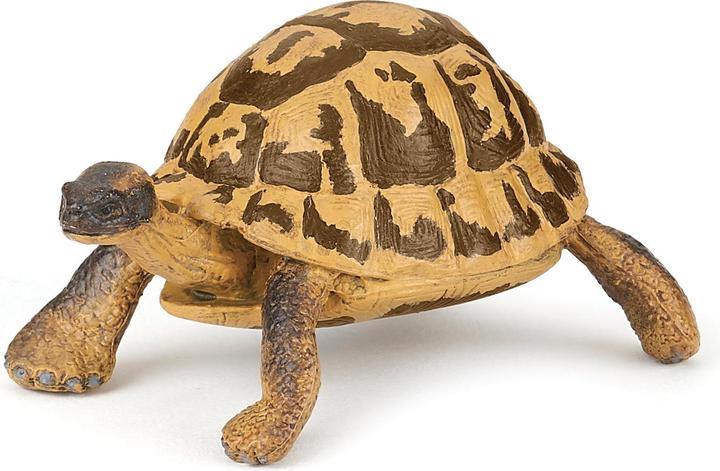 Actual product image Papo Hermann's turtle